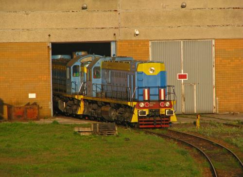 Dwie widzewskie Tamary idą spać w szopie ZECu