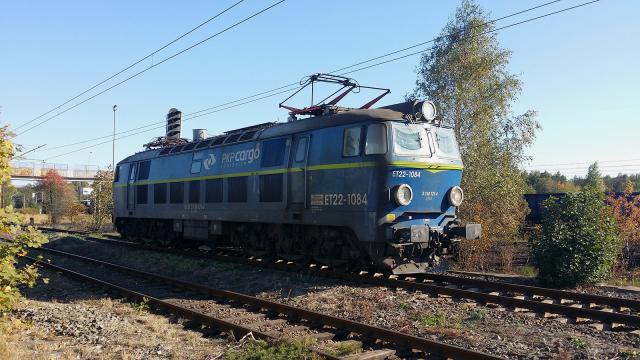 Byk zmierza w kierunku obwodnicy płn.