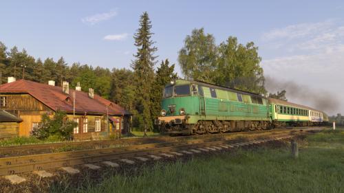 Hetman w Zwierzyńcu