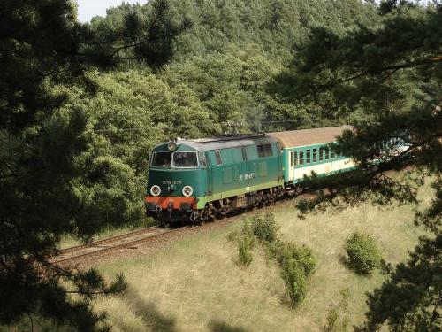 Przed Tucholą 2008.08.19