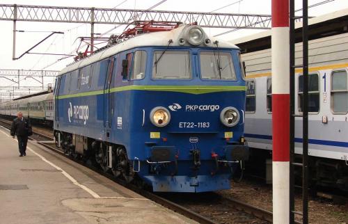 Spieszmy się kochać zielone byki..