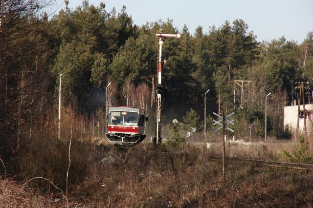 Bratków, 2013.03.04