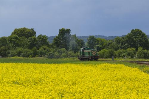 Zdążyć przed burzą
