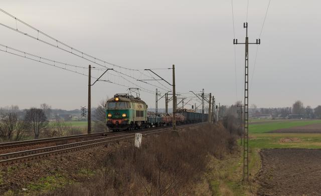 Święta , świętami ale focić trzeba....