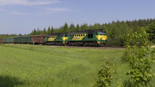 Hedwiżyn, 2011.05.22