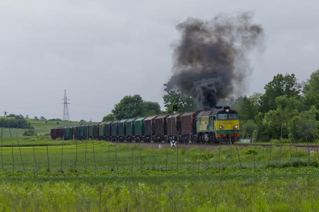 Szczebrzeszyn, 2012.06.14