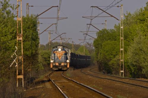 Kolej w żywopłocie