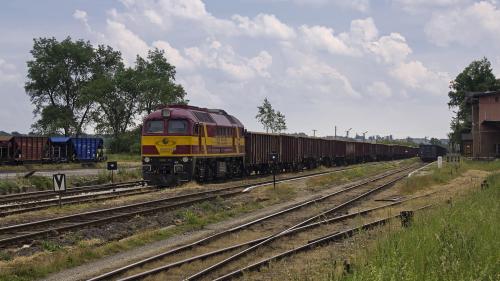 Rogoźnica, 2011.06.05