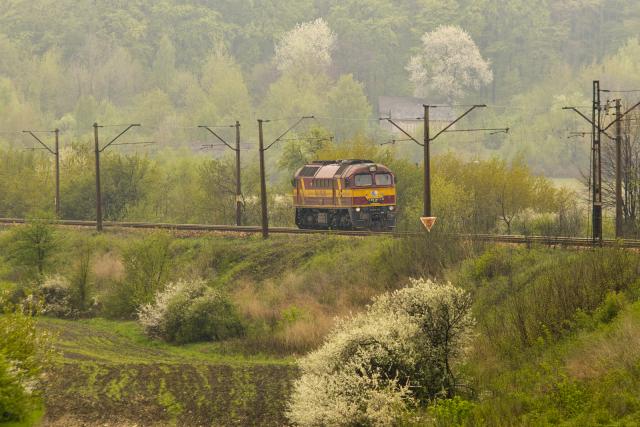 Luzak przed Kozłowem