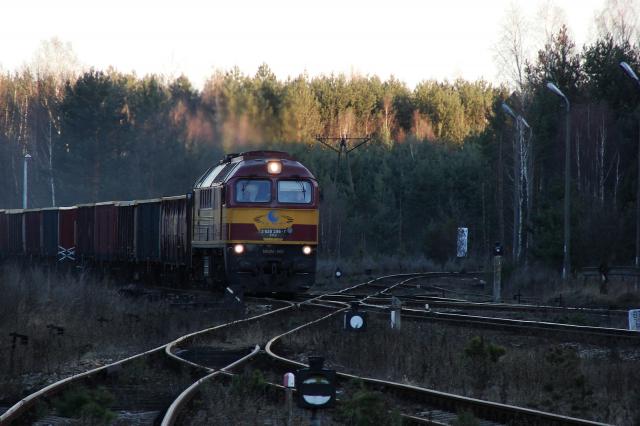 Bratków, 2013.03.04