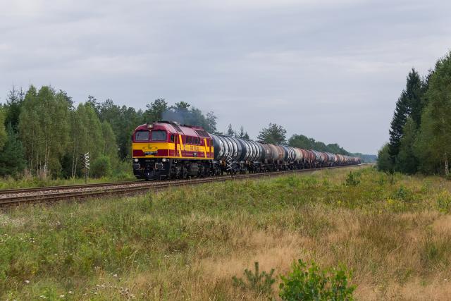 Borowiki, 2014.08.30