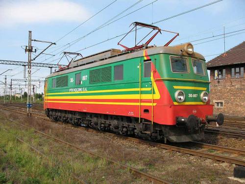 Rasta w Zduńskiej Woli