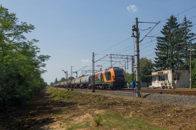 Smok na łączce a może w Łącku...