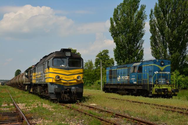 Opoczno M62-1331,SM31-150