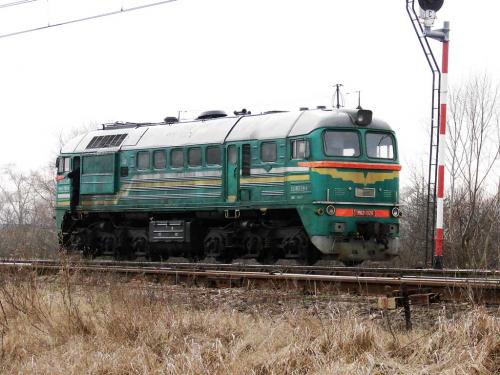 Białoruski gagar z wizytą w Polsce