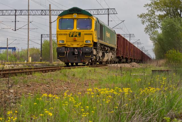 Trochę żółtego i trochę zielonego czyli wiosna