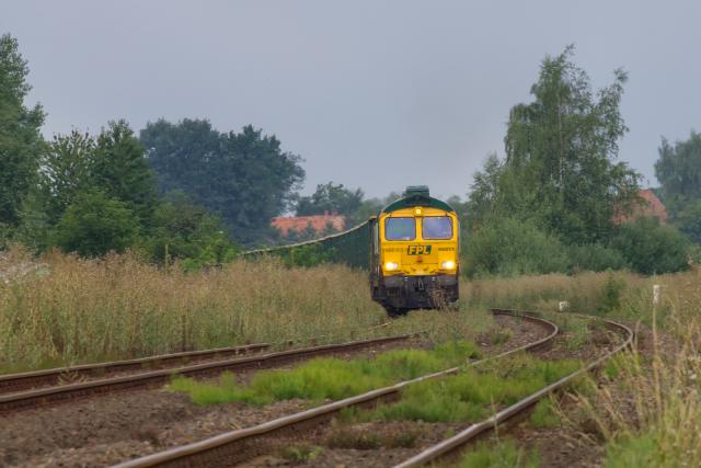 Chyłkiem wśród traw