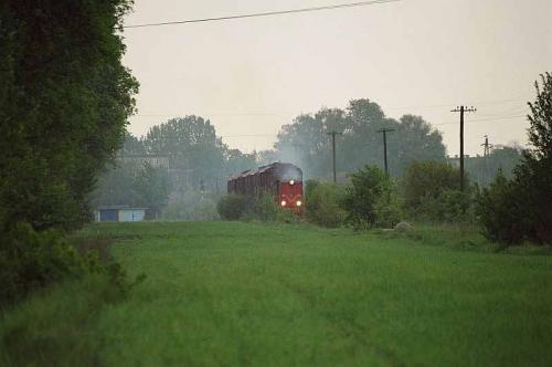 Krosniewice, 5 gagsów na transporterach.  LXD2
