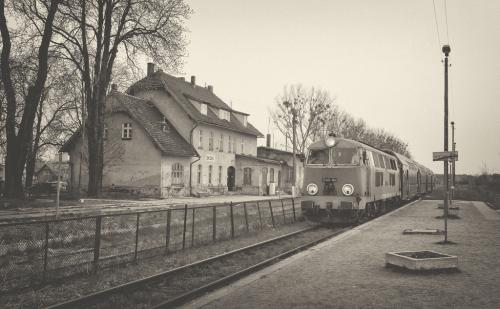 Jak za dawnych lat... 