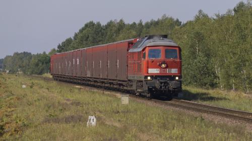 Ludka na "Gubińskiej"