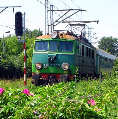 "Stoczniowiec"  - Łódź Chojny